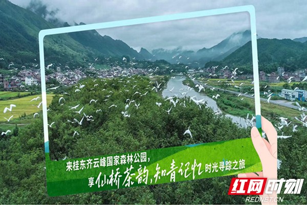 暑气渐近何处寻凉？湖南九大生态旅游避暑胜地邀您赴清凉诗意之约(图9)