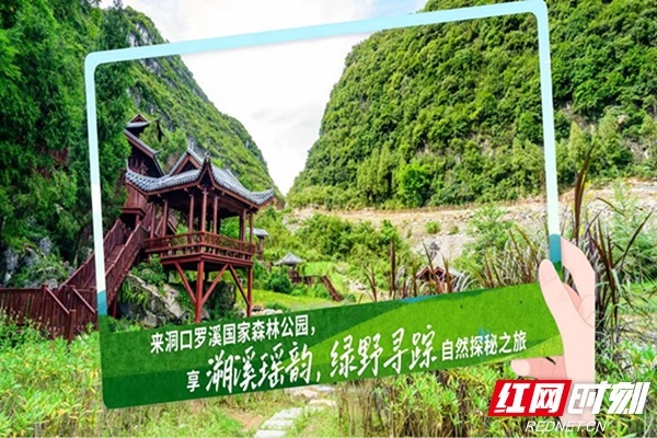 暑气渐近何处寻凉？湖南九大生态旅游避暑胜地邀您赴清凉诗意之约(图4)