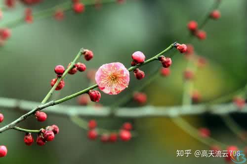 七绝《悠闲人家》新韵