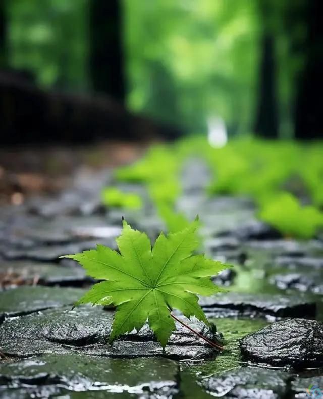 看完这30句恬静诗词，你会感受到一种淡泊名利的人生态度(图12)