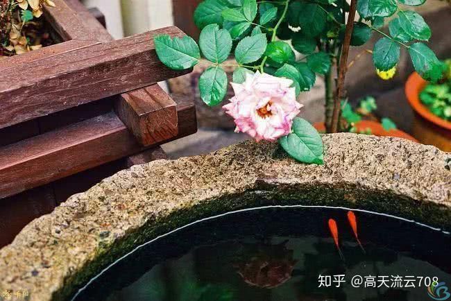 七绝《悠闲人家》新韵(图2)