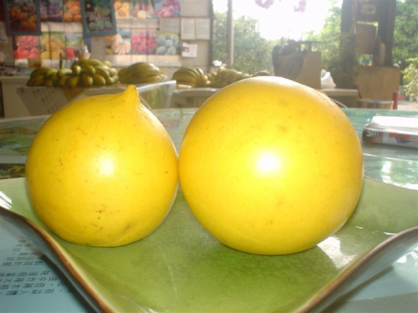 20种不常见但很好吃的怪异水果，非洲角瓜***是吃货的追求(图5)