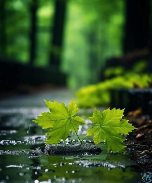 看完这30句恬静诗词，你会感受到一种淡泊名利的人生态度(图8)