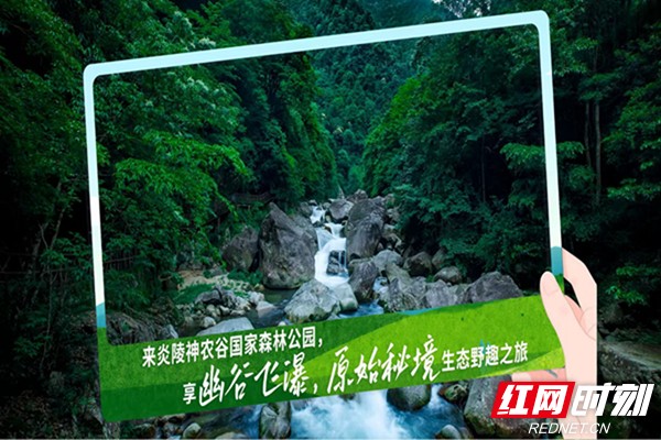 暑气渐近何处寻凉？湖南九大生态旅游避暑胜地邀您赴清凉诗意之约(图10)