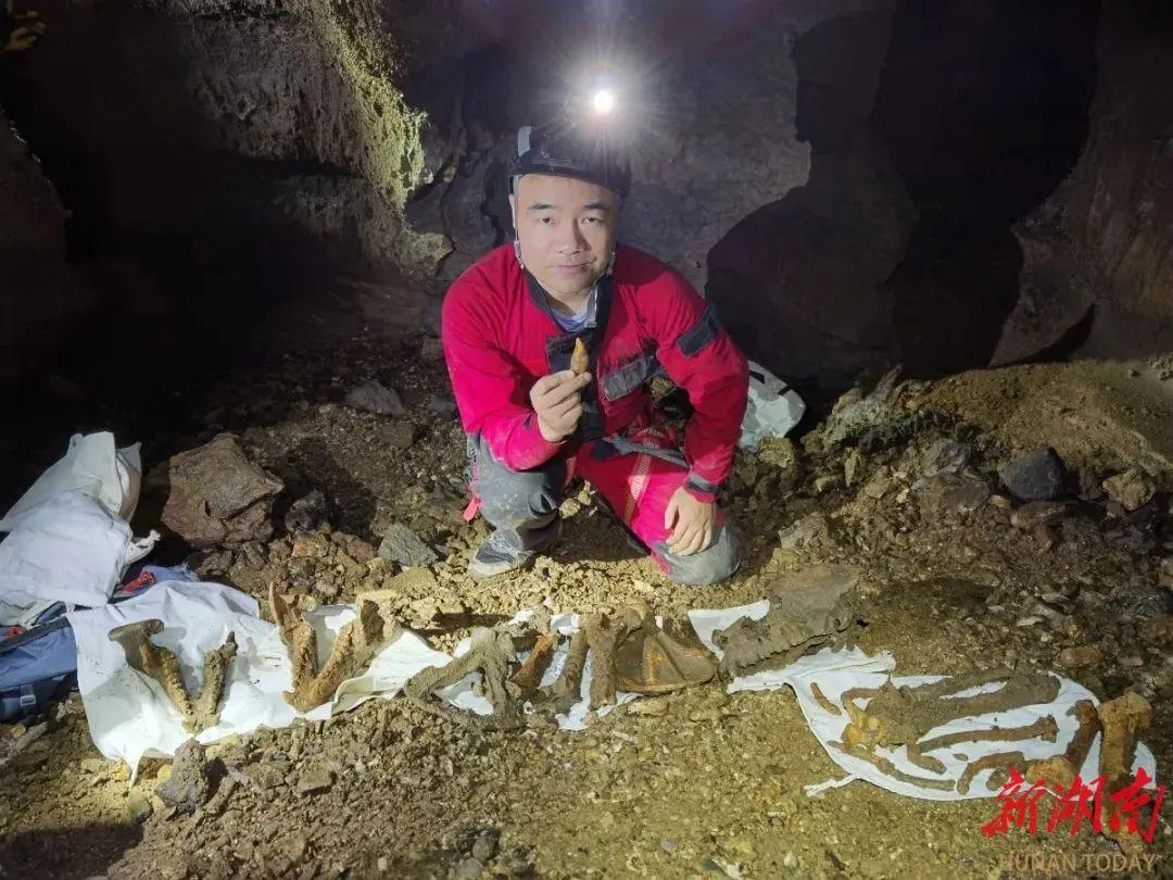 2900年前有大熊猫生活在湖南！湖南***发现全新世大熊猫化石