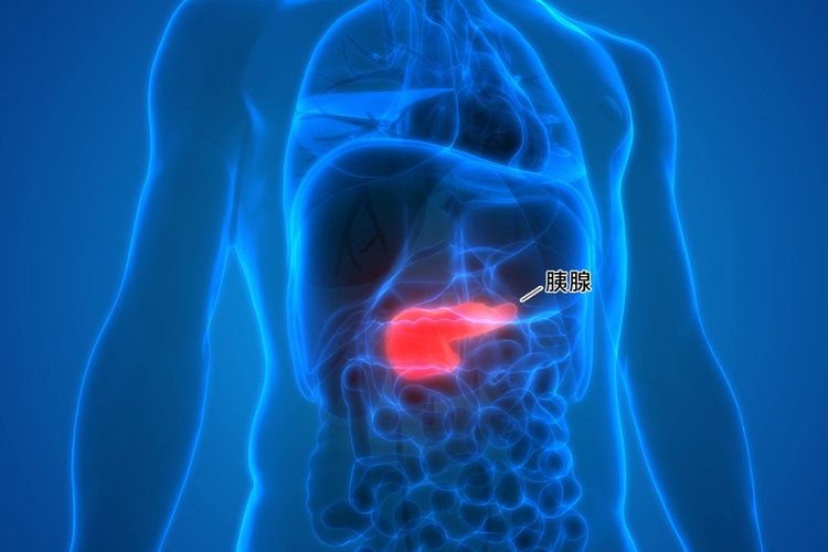 全球四分之一胰腺癌在我国，提醒：不想胰腺受伤，4种零食要少吃