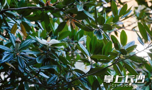 节后最高气温升至35℃！注意防暑降温