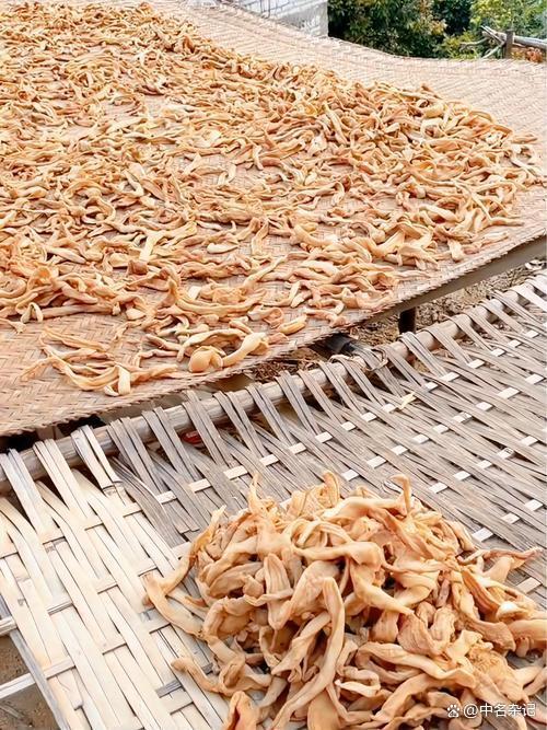 超详细！自制养生萝卜干晾晒秘籍