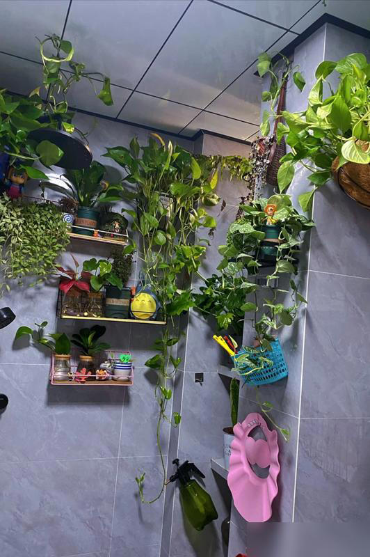 家里这3个地方空着别养花！越养越不顺，绝非迷信