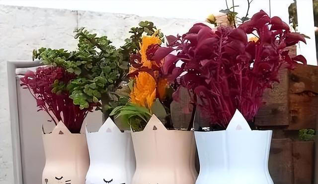 塑料瓶可是养花好容器，剪几刀变成“花盆”，能吊着养不少花