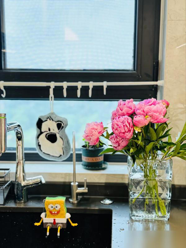 家里这3个地方空着别养花！越养越不顺，绝非迷信