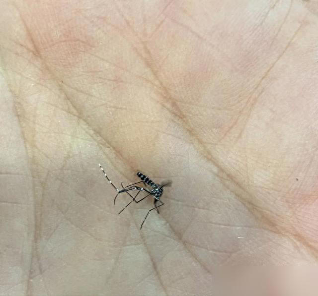 家里这3个地方空着别养花！越养越不顺，绝非迷信