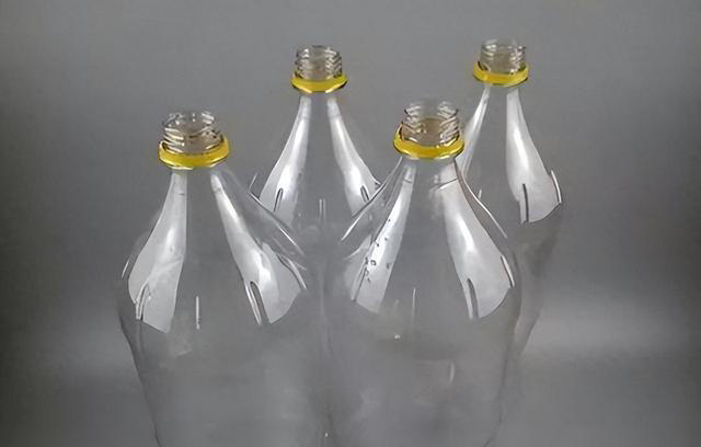 塑料瓶可是养花好容器，剪几刀变成“花盆”，能吊着养不少花