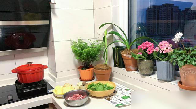 家里这3个地方空着别养花！越养越不顺，绝非迷信