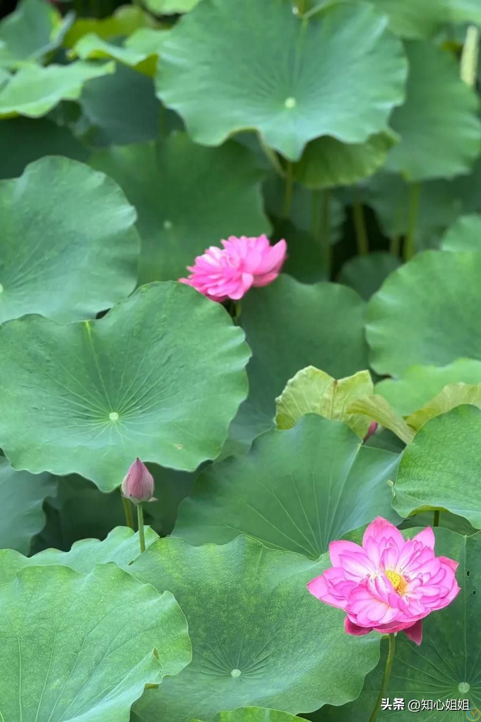 一切，皆是命中注定！（点醒很多人）