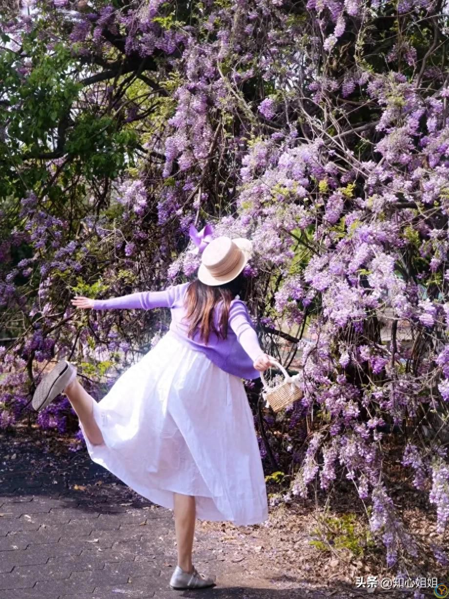 世人各有渡口，各有各舟，山水一程，人各有命