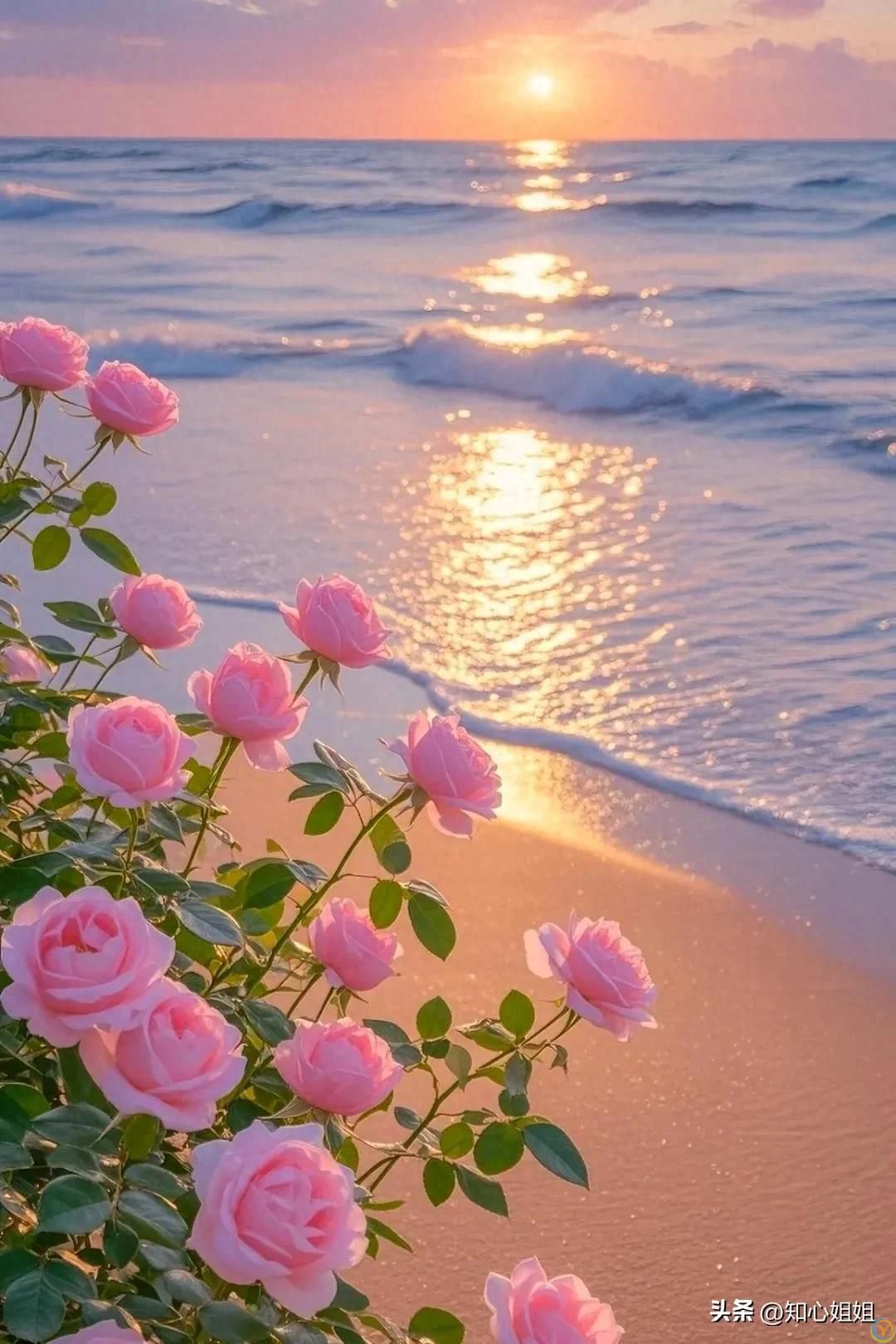 要学会放过自己，走太多，疼的是脚，想太多，累的是心