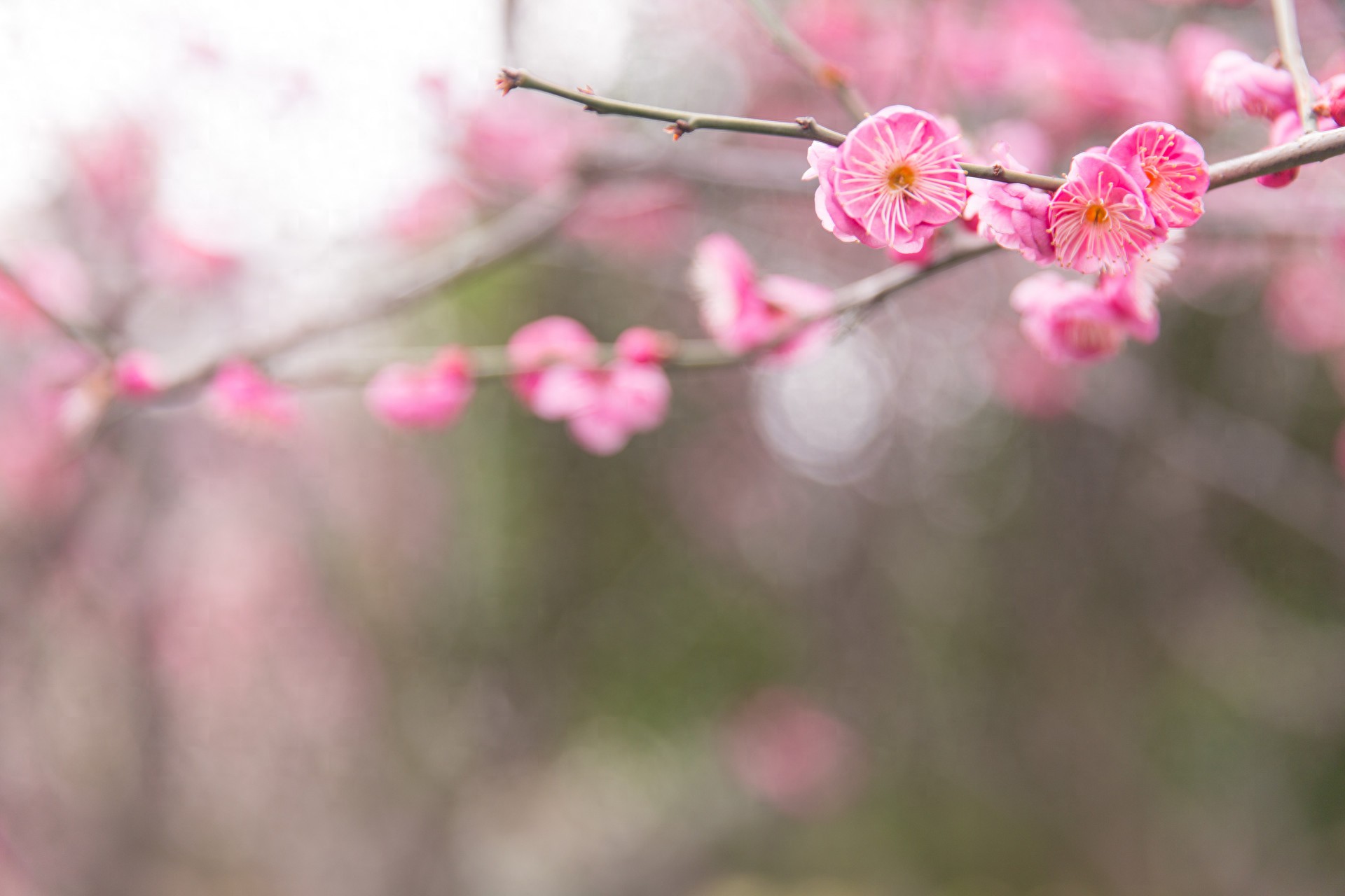 中年女人一旦动心，会给你这3种&ldquo;看似冷淡&rdquo;的回应