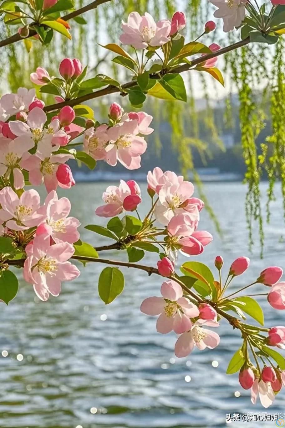 最残忍的社会真相：穷人没有人脉，富人不谈关系