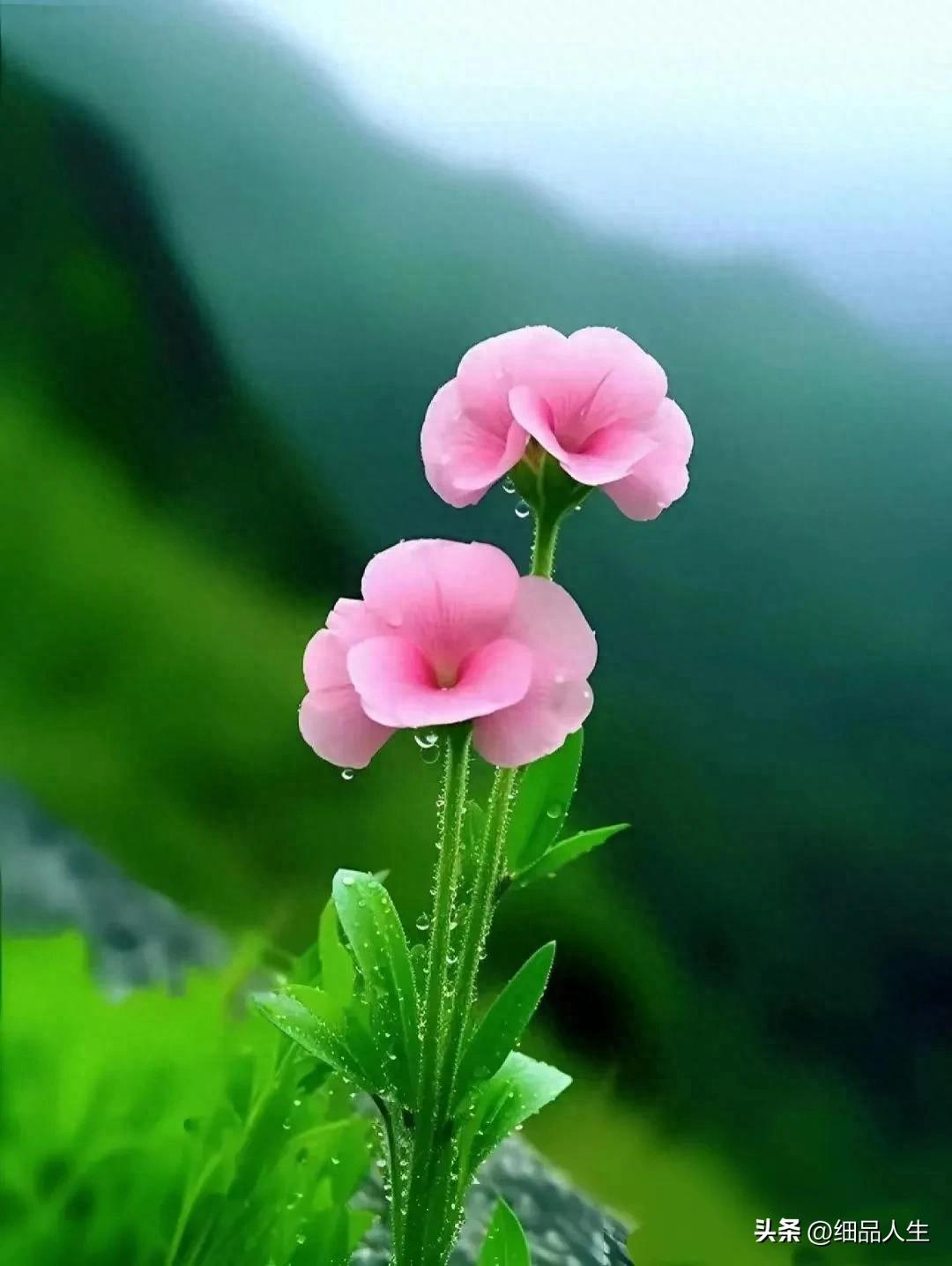 事实证明，未来十年，渐渐变老的70后，将活成&ldquo;最艰难&rdquo;的一代人