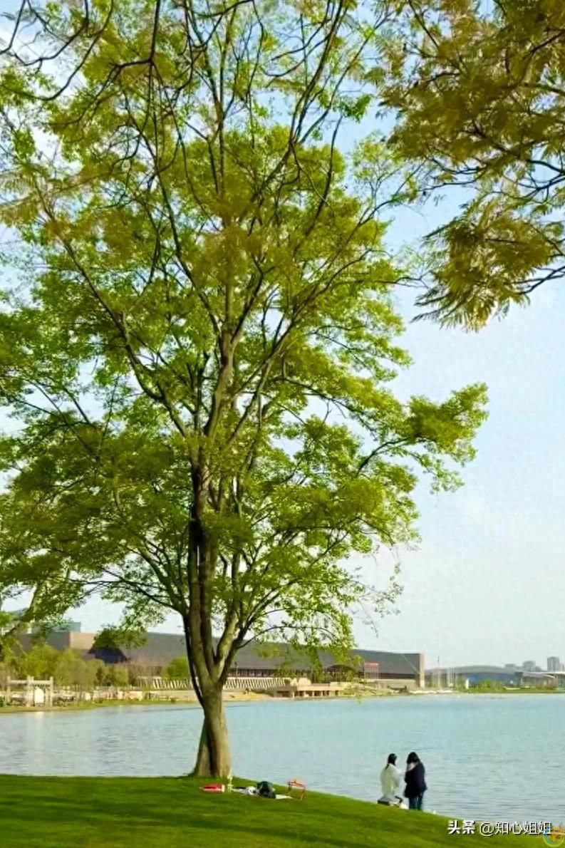 人生的幸福不是求来的