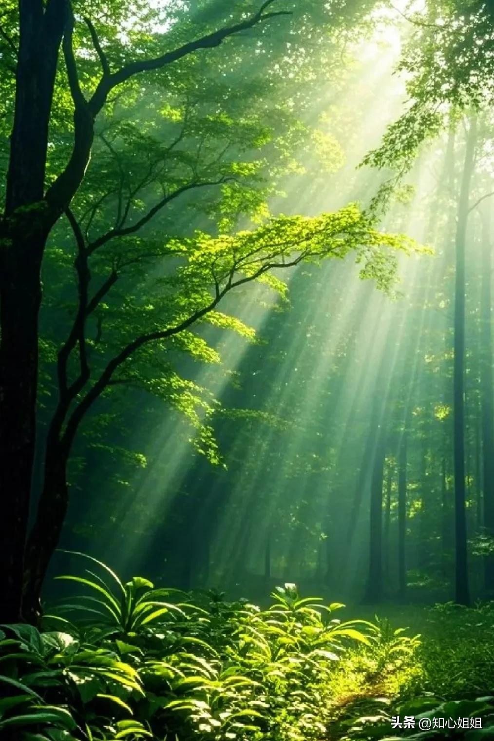 万事皆有因果，万物总有轮回！