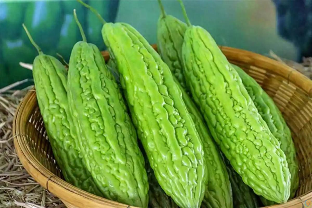 苦瓜是血糖的&ldquo;天敌&rdquo;？劝诫：要是不想血糖飙升，3种蔬菜少吃！