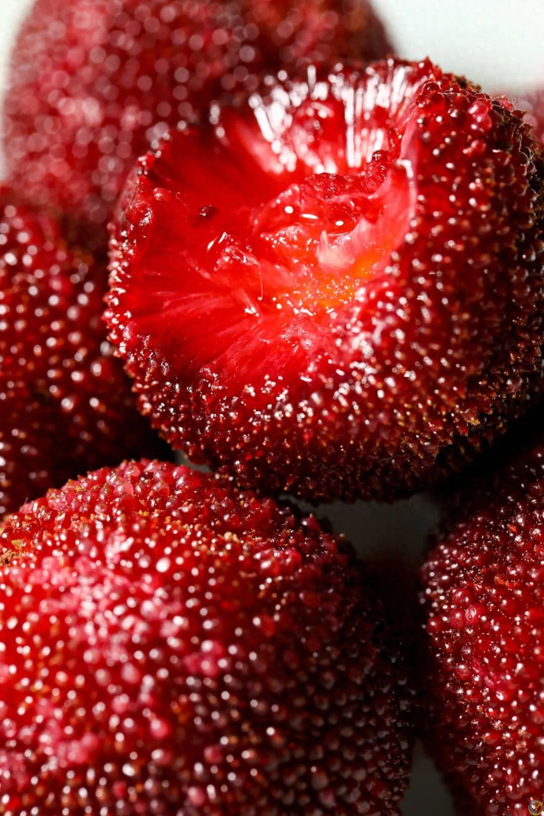 苏东坡在广东除了推荔枝，还强推&hellip;&hellip;流口水！