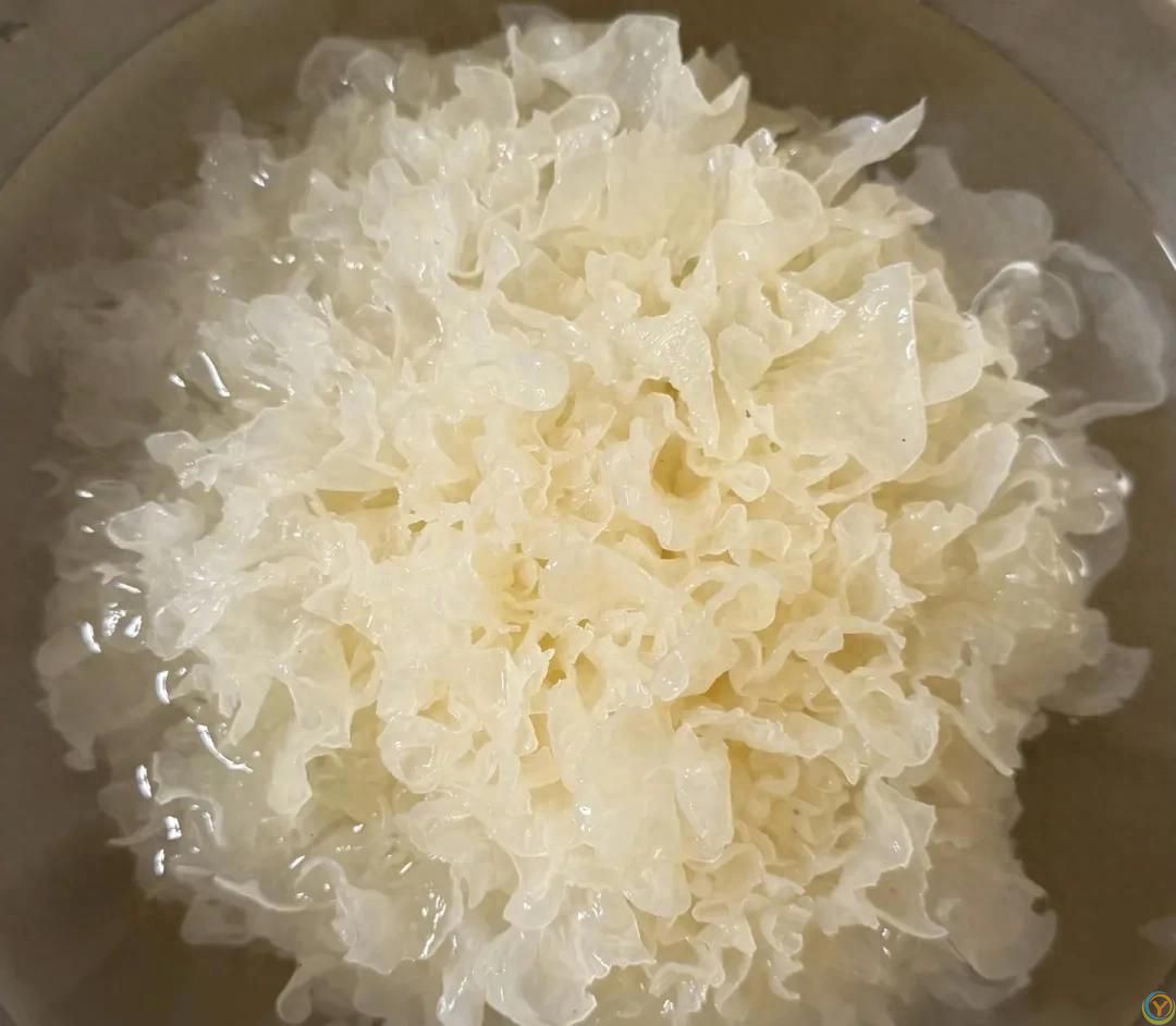 它是&ldquo;养肺王&rdquo;，人人吃得起，建议一周吃2次，润肺定喘身体强！