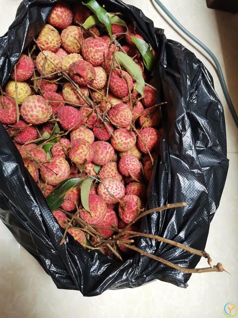 买荔枝牢记“尖头圆头”区别！4点技巧选肉厚核小果