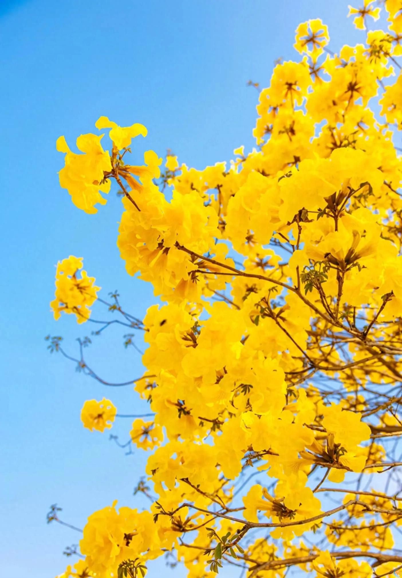 嫉妒你的人，最喜欢跟你比，跟你争，因为他不甘心