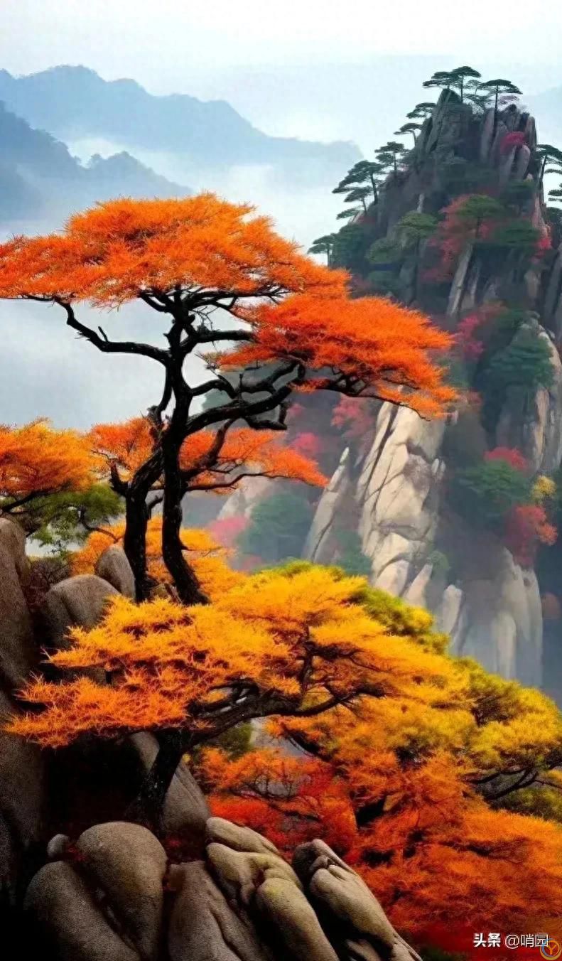 活着活着就懂了，无论和谁相处，记住这4句话，对人生很重要！