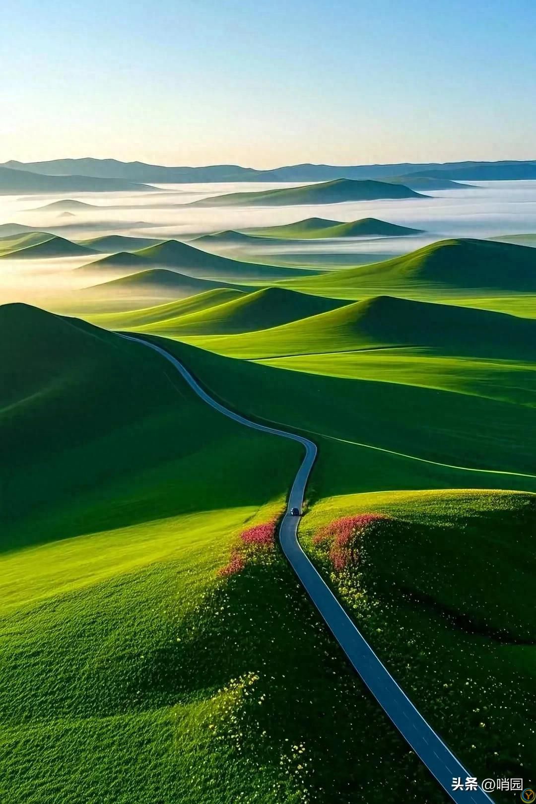 自己陪自己，安静自在。熬得住无人问津的寂寞，才配拥有诗和远方