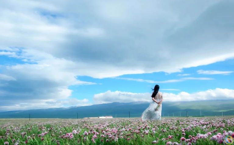 欣赏一个人，始于颜值，敬于才华，合于性格，久于善良，终于人品