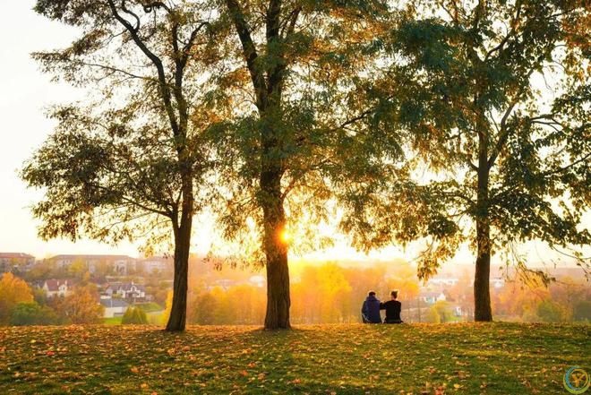 50句超悠闲的诗词，松弛感拉满，专治精神内耗！