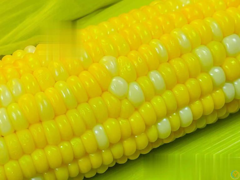 煮玉米别直接用清水！加2样料，玉米软嫩香甜