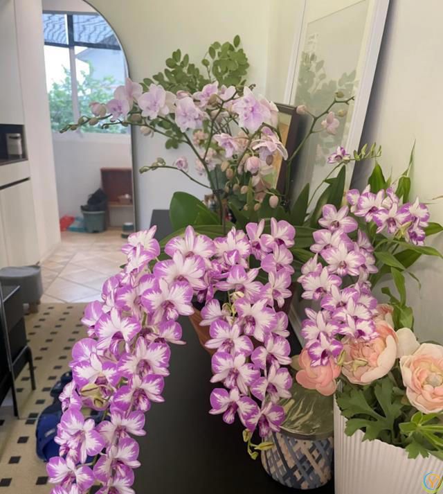 这8种花，花期长到离谱！养好了，甚至一年四季都能开花！