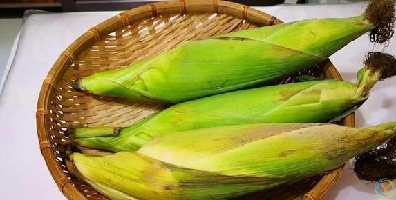 煮玉米老硬不好吃？加两勺料，香甜嫩滑不输街边摊！
