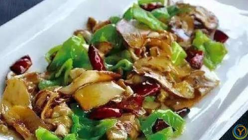 家常菜也能这么香？三道菜学会了，家人抢着吃！