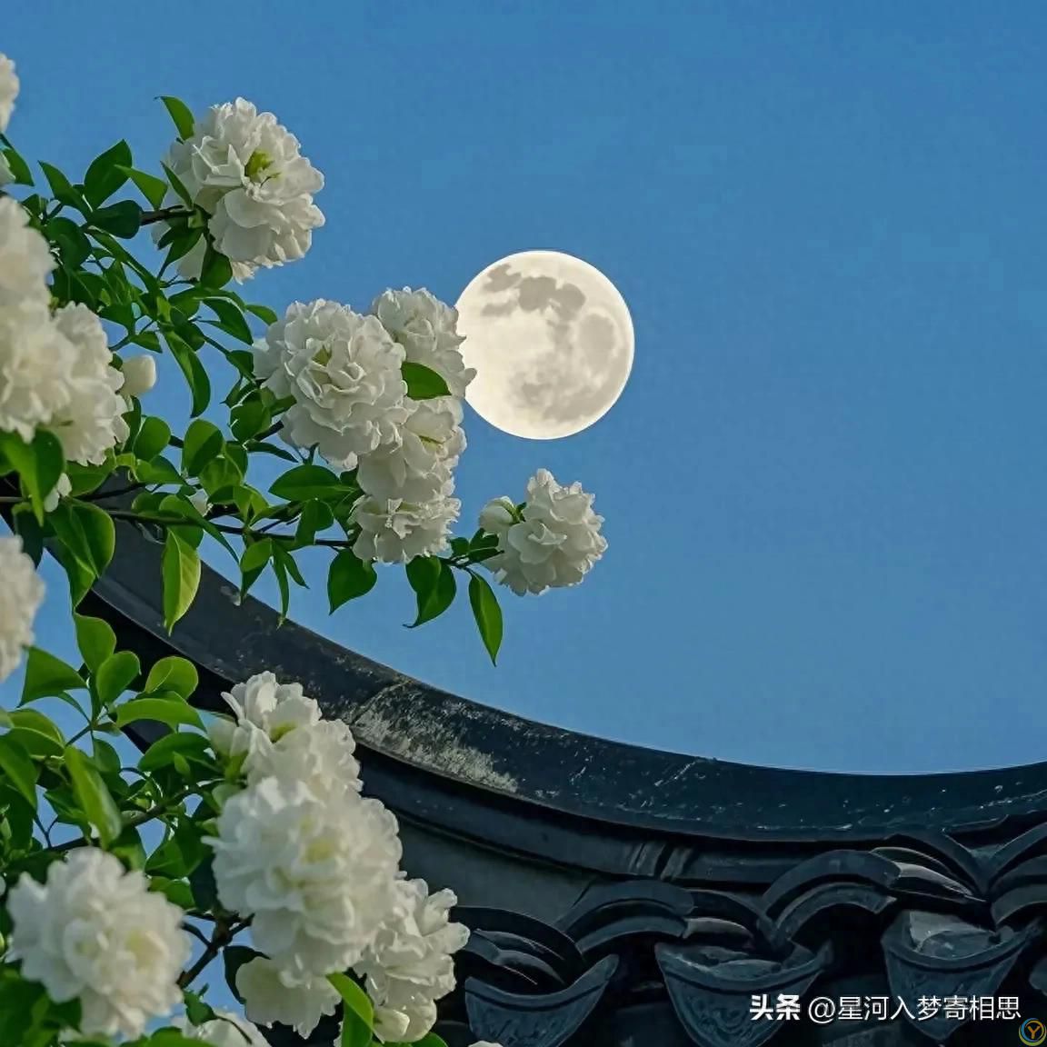 断了的关系千万别回头，这句话治好了我半辈子的焦虑