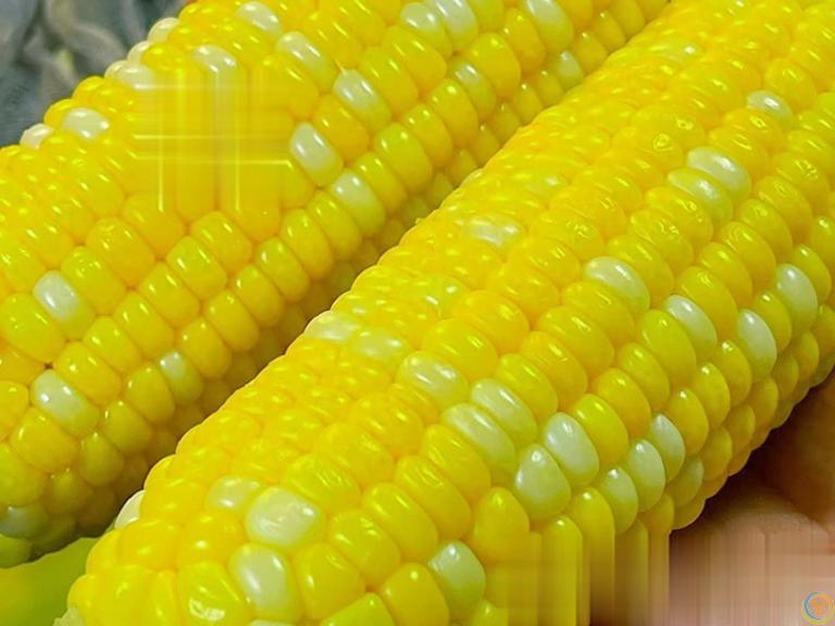 煮玉米别直接用清水！加2样料，玉米软嫩香甜