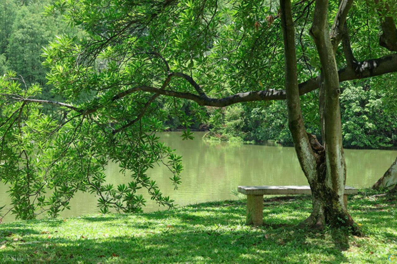 全部免费！广州值得一去的8个公园，好看又好玩，赶紧安排上！