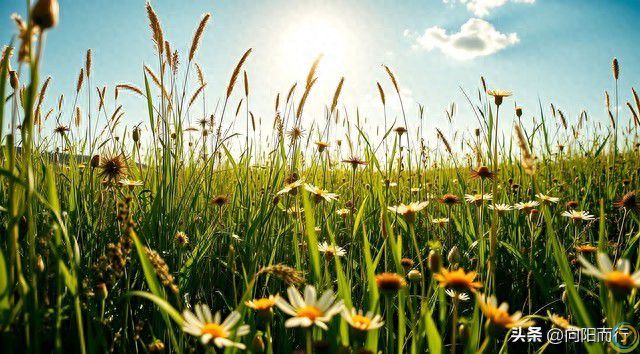 老了才明白：独来独往、没有朋友的人，往往具备3点***品质