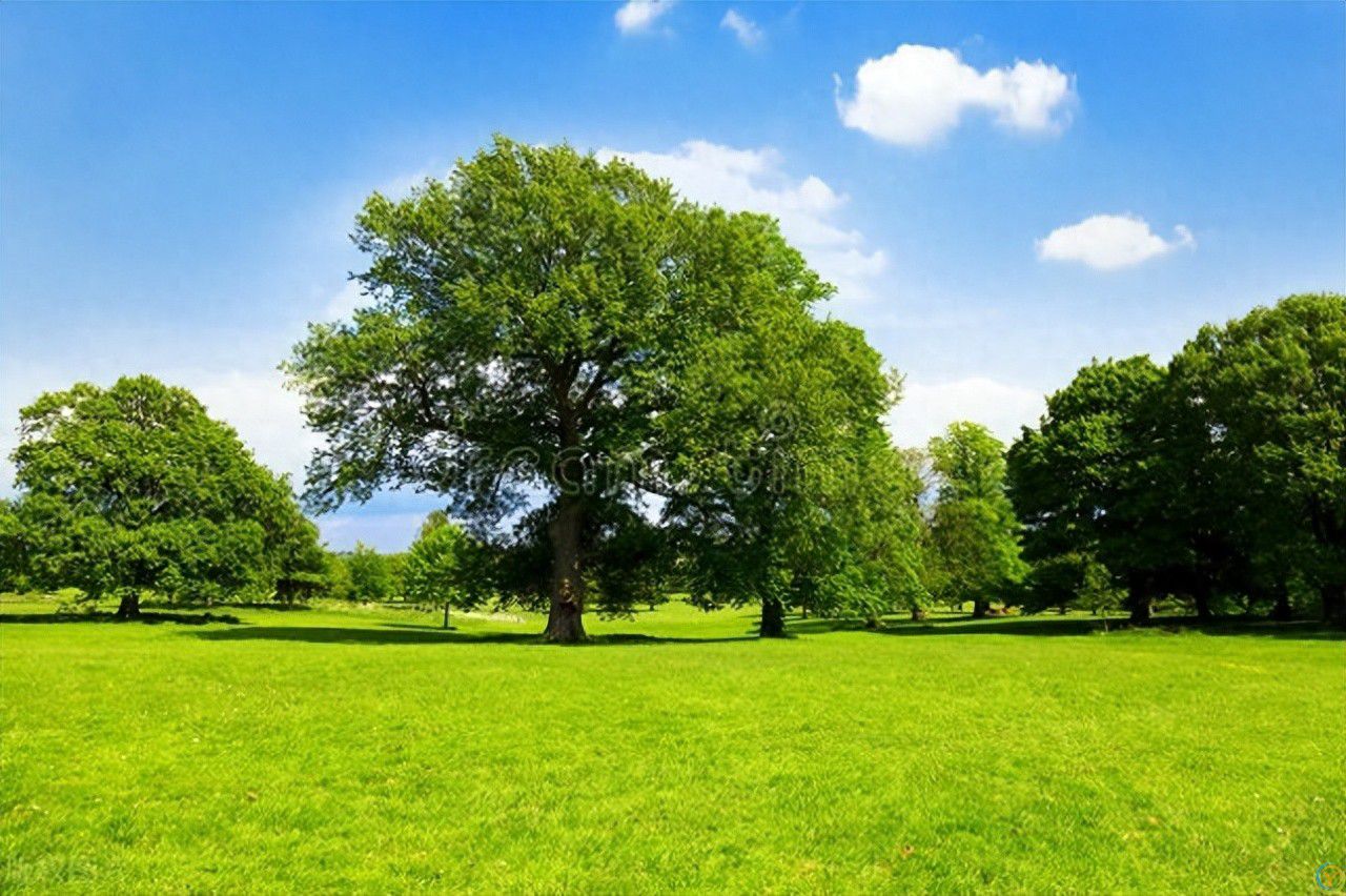 过来人告诉你：夫妻离婚后，谁最后悔？十年才看懂！