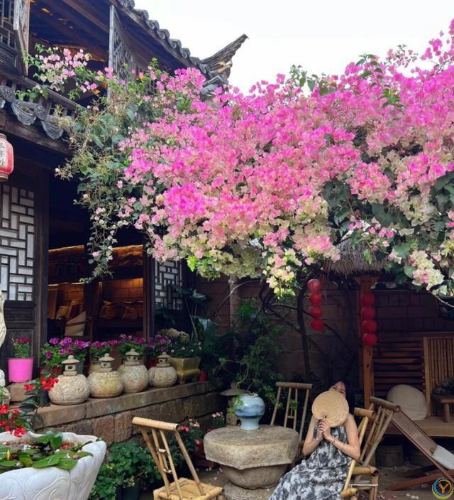 这8种花，花期长到离谱！养好了，甚至一年四季都能开花！