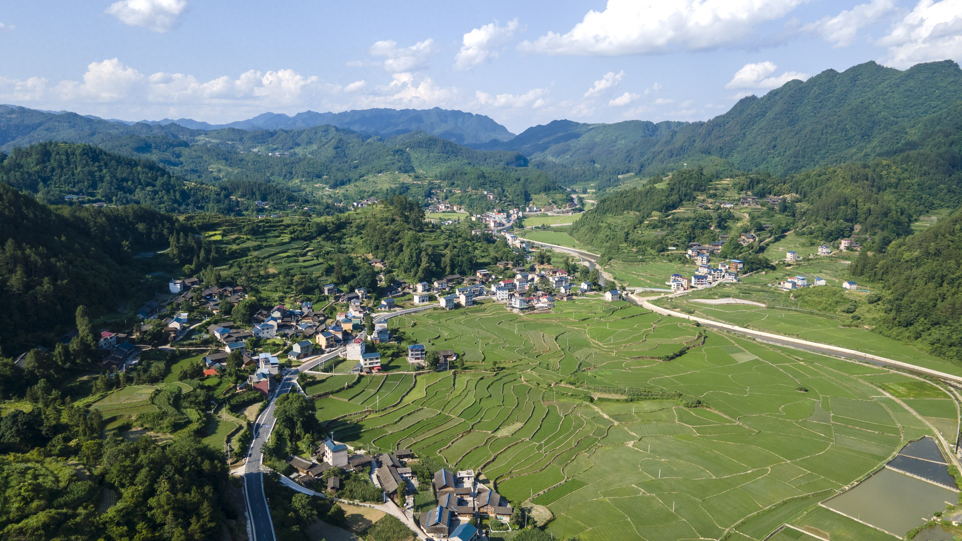岑巩：梯田风景 乡村画卷