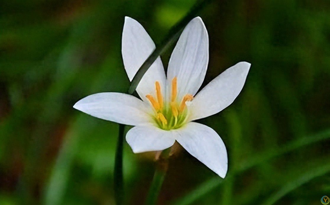 表面上善良，内心阴暗的人，有这三个特质，千万别深交