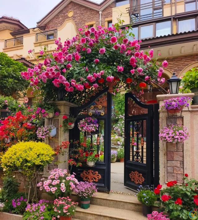 这8种花，花期长到离谱！养好了，甚至一年四季都能开花！