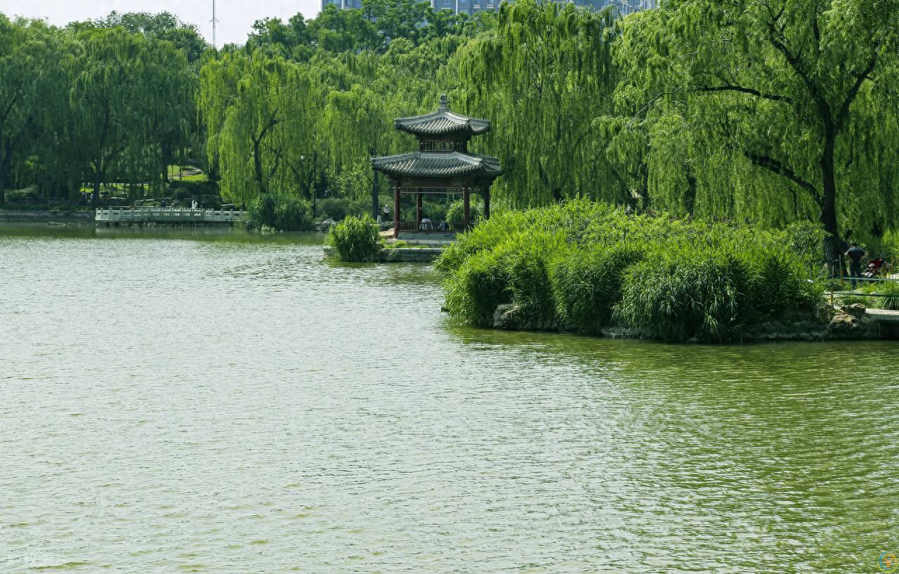 全部免费！地铁直达！北京值得一去的8个宝藏公园推荐！周末安排