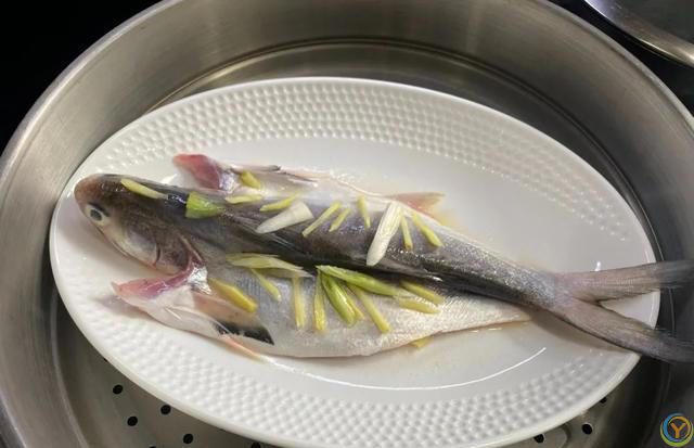 清蒸鱼到底蒸多久？很多人不懂，难怪鱼肉不鲜了，教你正确做法
